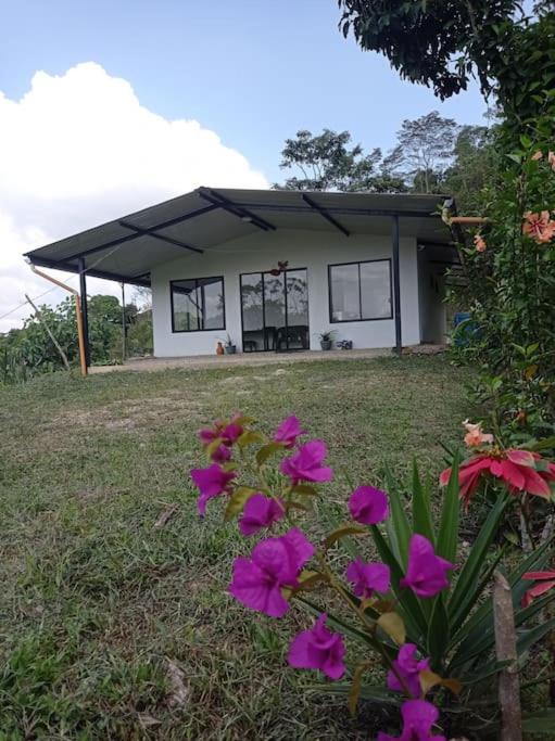 une maison avec des fleurs violettes devant dans l'établissement dgc, à La Vega