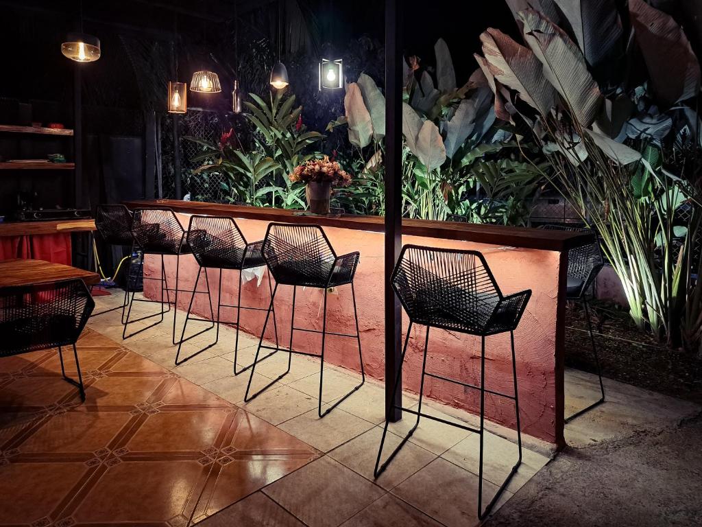 une rangée de chaises et un bar dans un restaurant dans l'établissement CASA FOTR LOCO, à Uvita