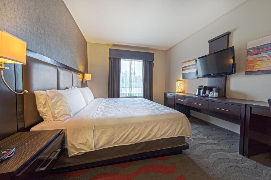 Holiday Inn Houston West - Westway Park, an IHG Hotel - 
