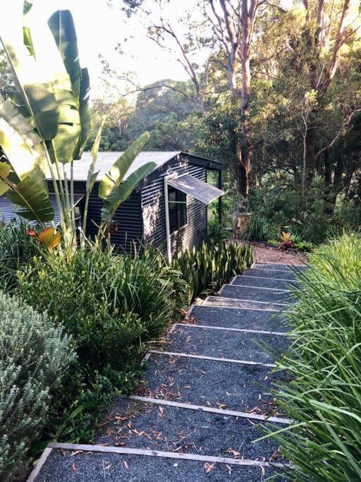 MyocumStudio 59 - Byron Hinterland.的通往森林中小建筑的道路