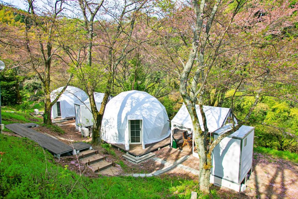two white domes in a field with trees at glampark Shikisou Shimane in Izumo