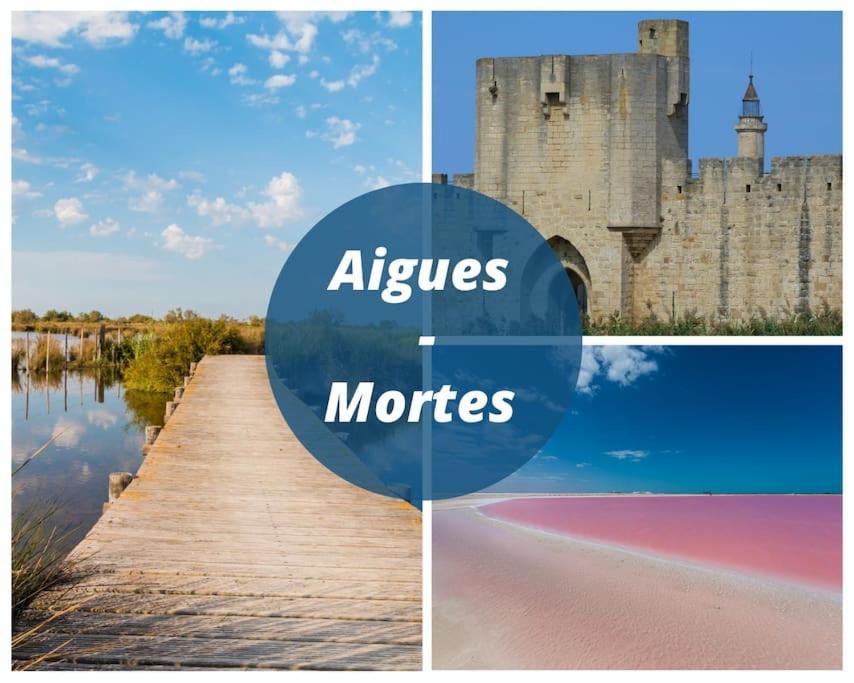 Fotografia z galérie ubytovania Le Murmure du Palmier * Mer à 2 min * Parking Privé * Terrasse v destinácii La Grande-Motte