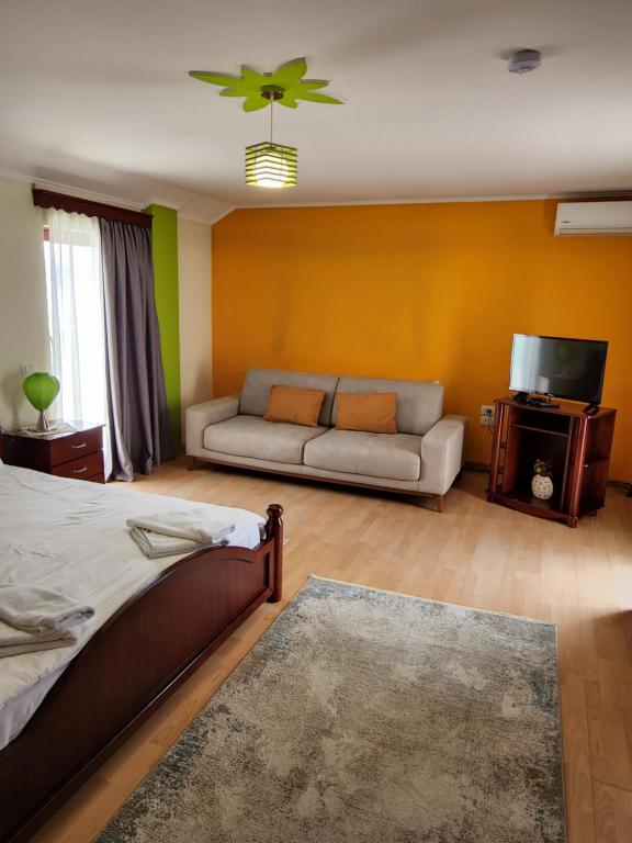 TV a/nebo společenská místnost v ubytování Guesthouse Bimbli