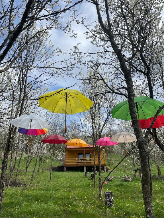 Zahrada ubytování Tiny Heaven Chidea