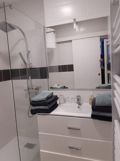 Kúpeľňa v ubytovaní Grand studio avec patio