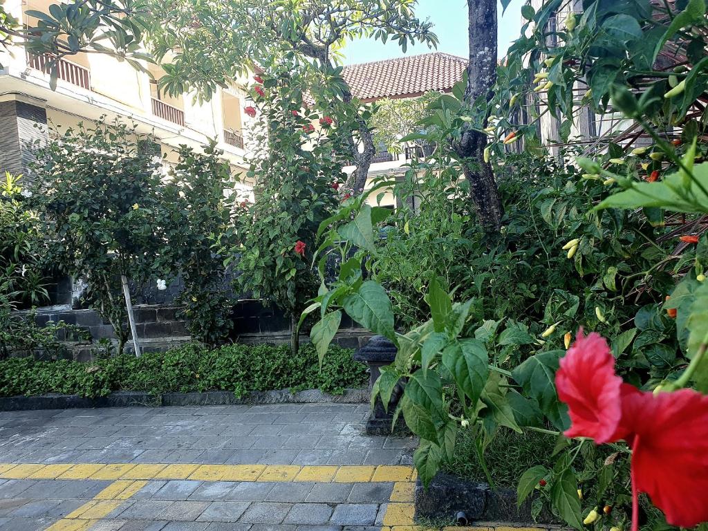 Zahrada ubytování Radha Bali Hotel