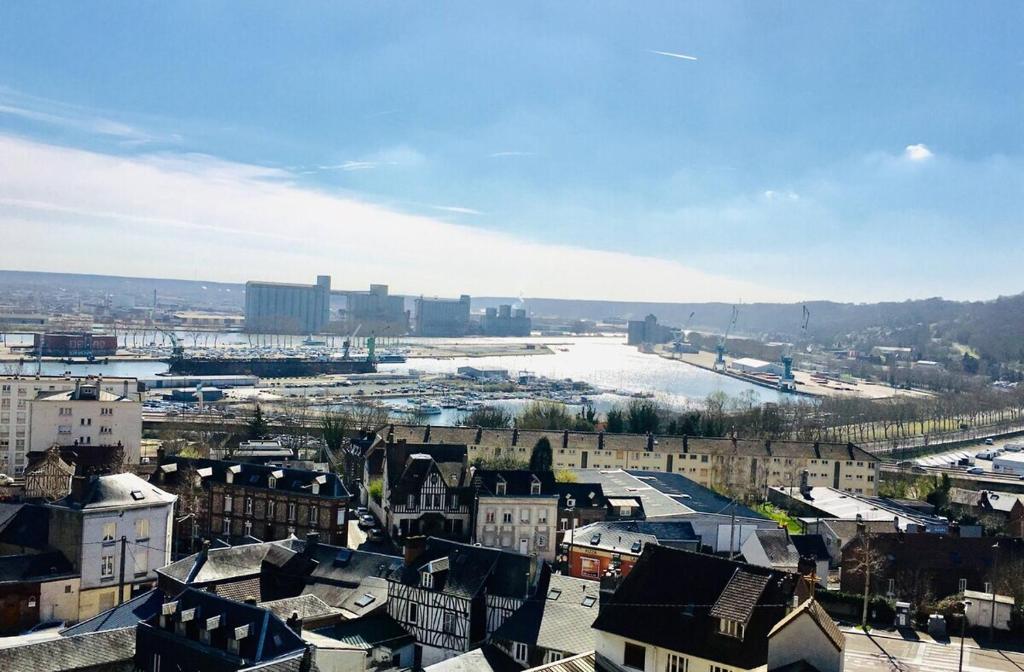 Blick auf eine Stadt mit Fluss und Gebäuden in der Unterkunft Rouen : Vue panoramique sur la seine avec parking in Rouen