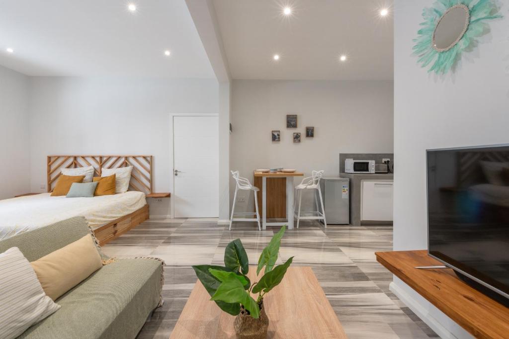 Μια τηλεόραση ή/και κέντρο ψυχαγωγίας στο LeCosyCanonniersStudio4