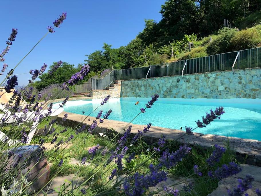 uma piscina com flores roxas no primeiro plano em PODERE BEATRICE 20P large pool, WiFi near 5 Terre em Bardine di San Terenzo Monti