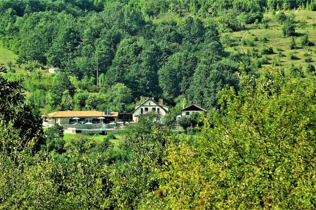 dom na środku wzgórza z drzewami w obiekcie Villa “Nadezhda” w mieście Carewa Liwada