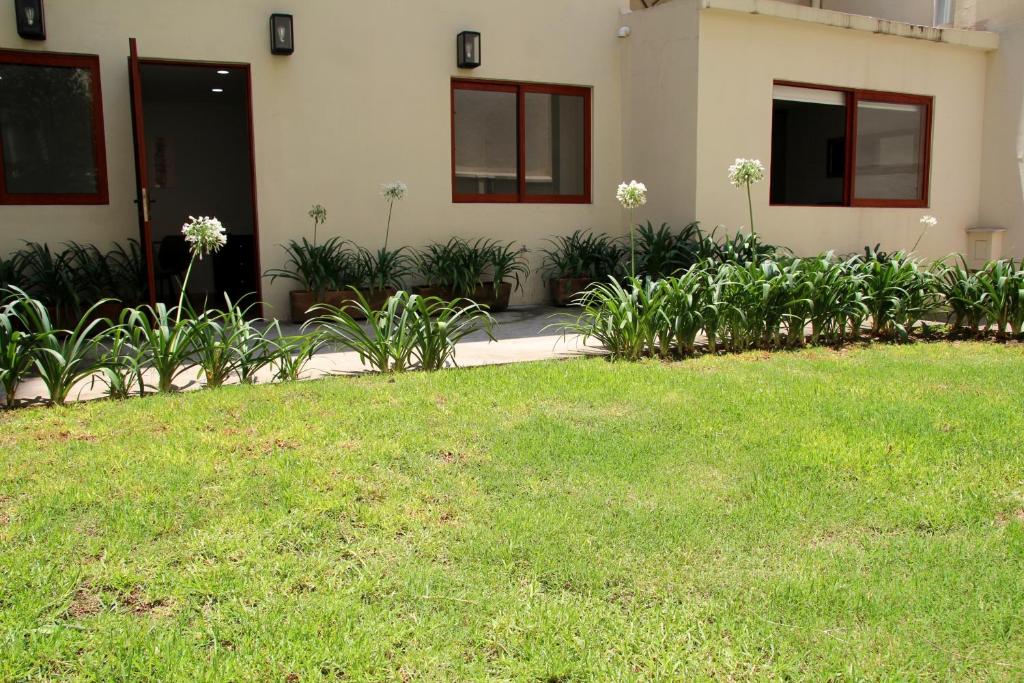una casa con un montón de plantas delante de un patio en Guest House en Polanco, en Ciudad de México