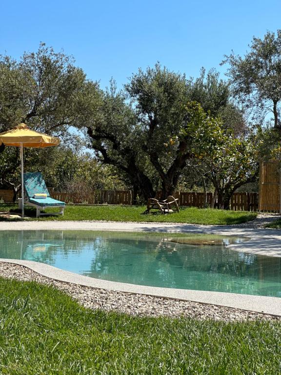 a swimming pool with an umbrella in the grass at THIRES Guesthouse in Vasilikos