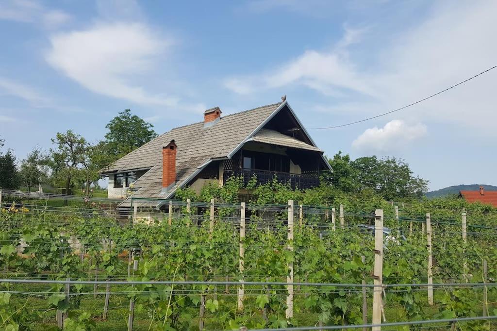 Zahrada ubytování Cottage near river Kolpa, vineyards,top location.