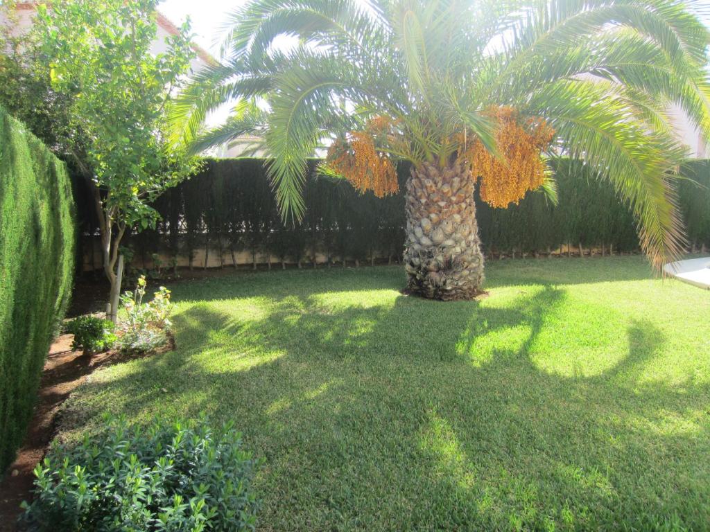 Fotografie z fotogalerie ubytování Villa Xoriguer v destinaci Denia