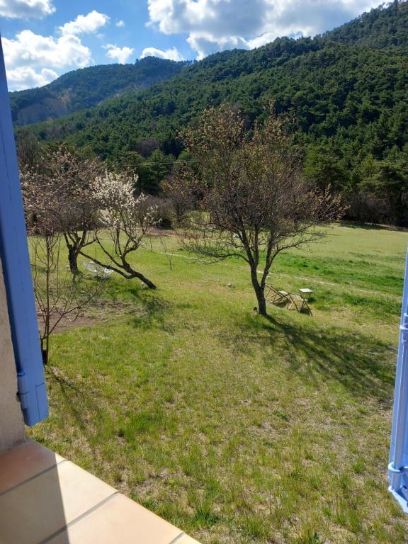 Príroda v okolí chaty v prírode