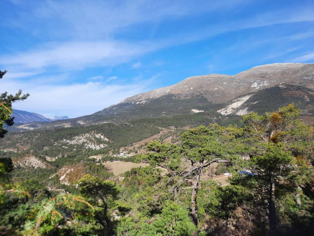 Príroda v okolí chaty v prírode