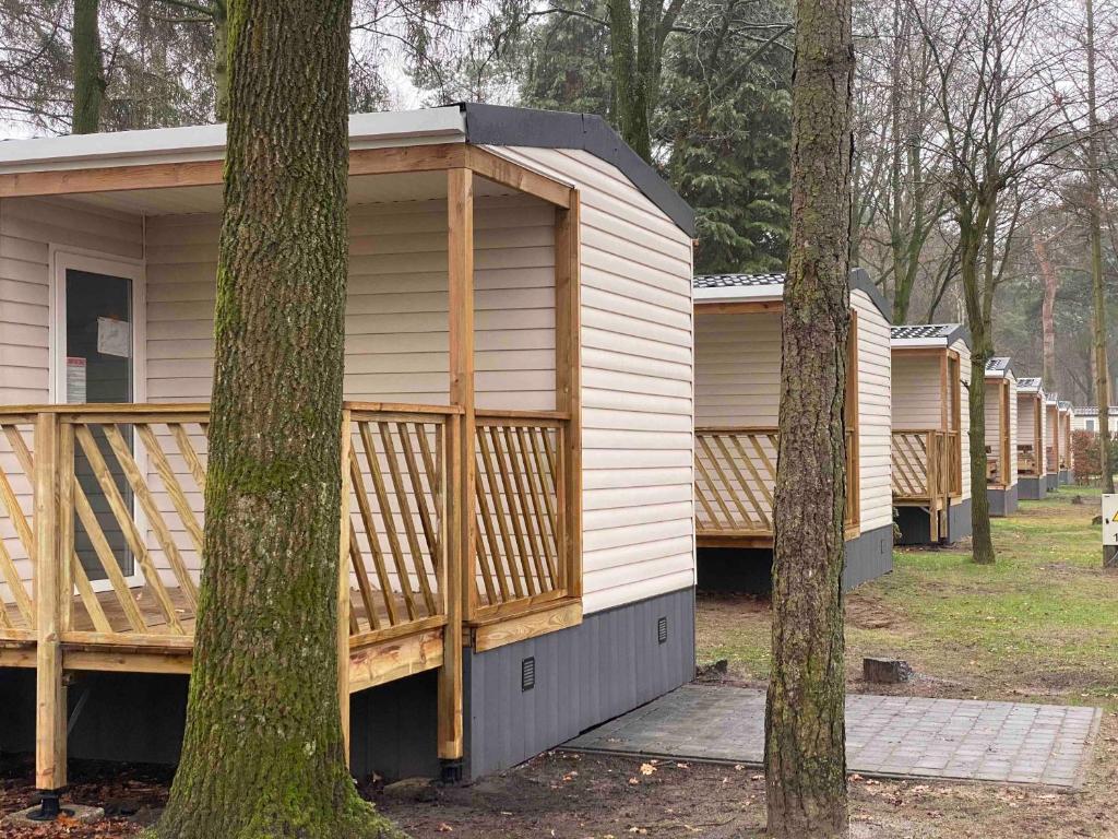 a row of modular homes in a park with trees at Verblijfpark De Brem in Lille