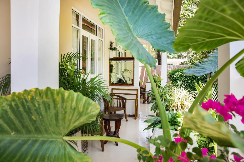 Casa Mira Boutique Villa - 10