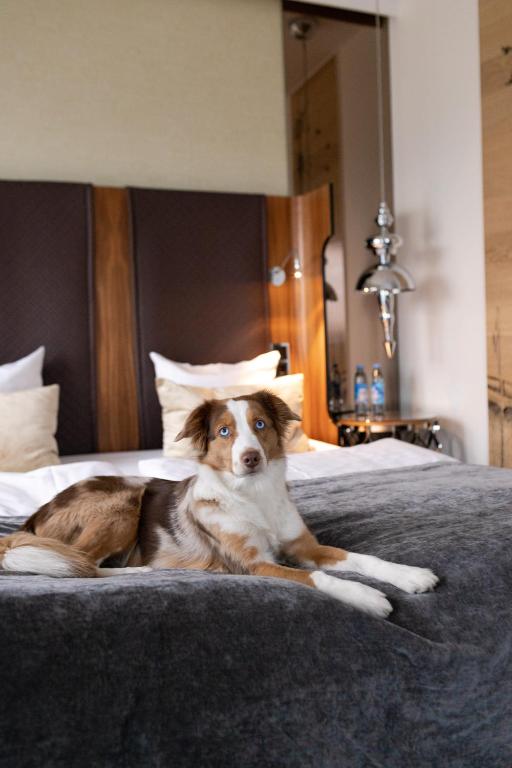 O animal ou animais de estimação com os hóspedes em Tivoli Hotel
