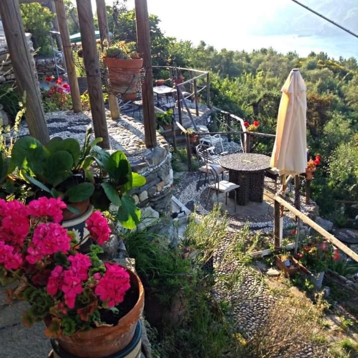 Zahrada ubytování B&B Maremesco