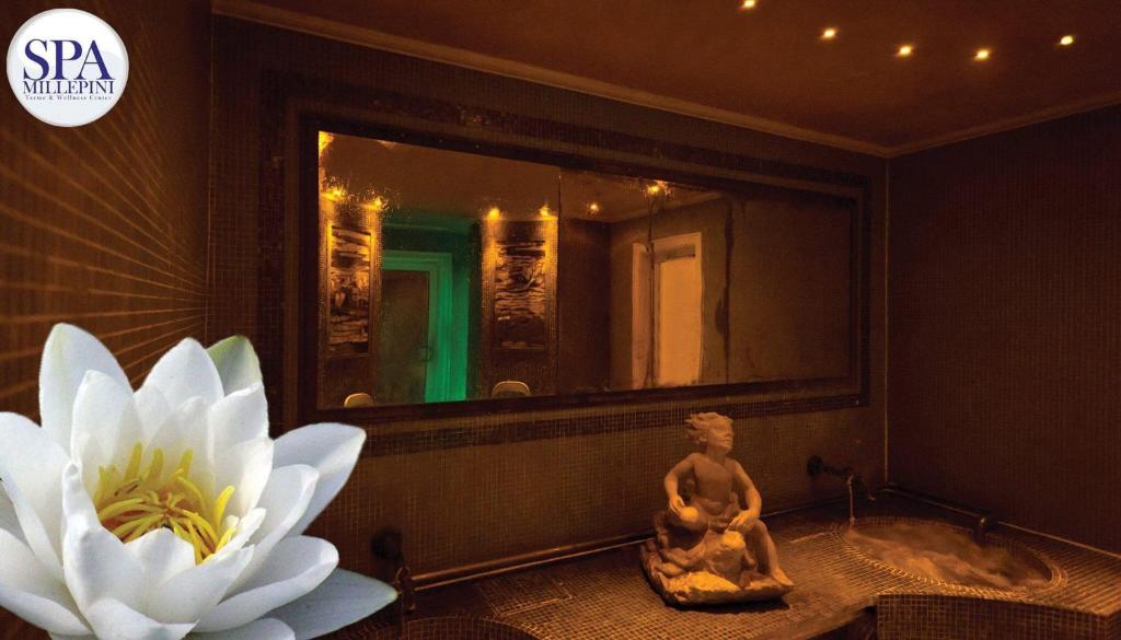 Fotografie z fotogalerie ubytování Hotel Terme Millepini v destinaci Montegrotto Terme