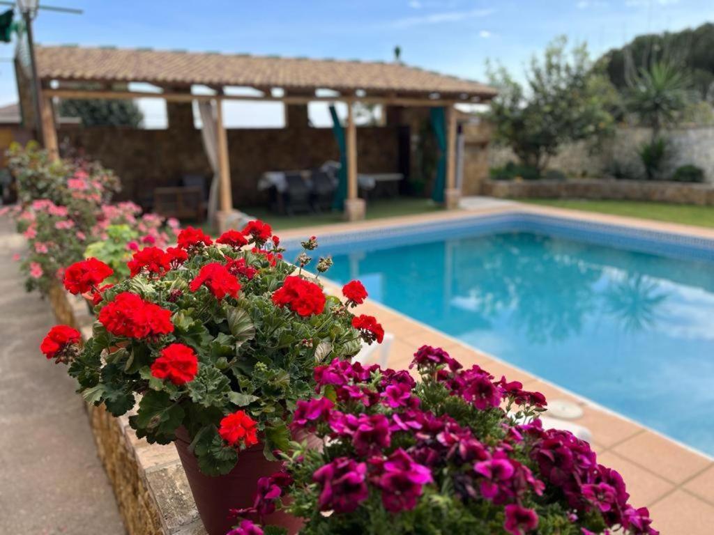 um ramo de flores vermelhas e roxas ao lado de uma piscina em Dama Rural em Posadas