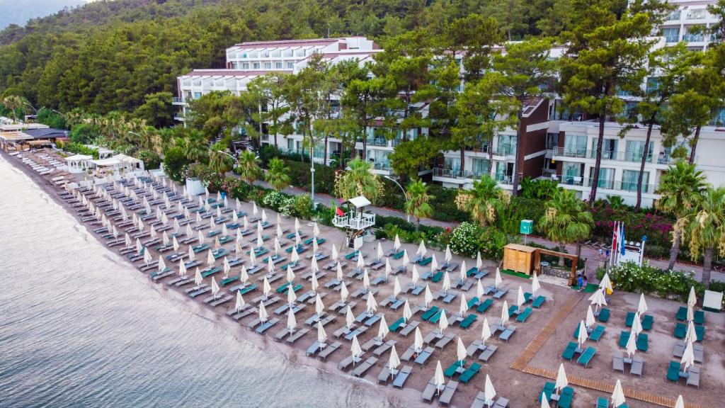 Orka Lotus Beach – Photos 1