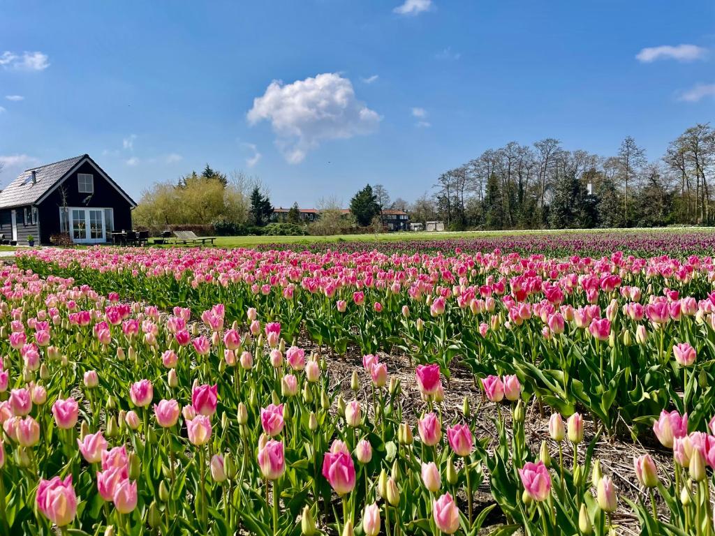 Stuga Kodawari - Tweepersoonskamer Met Uitzicht Op De Tuin
