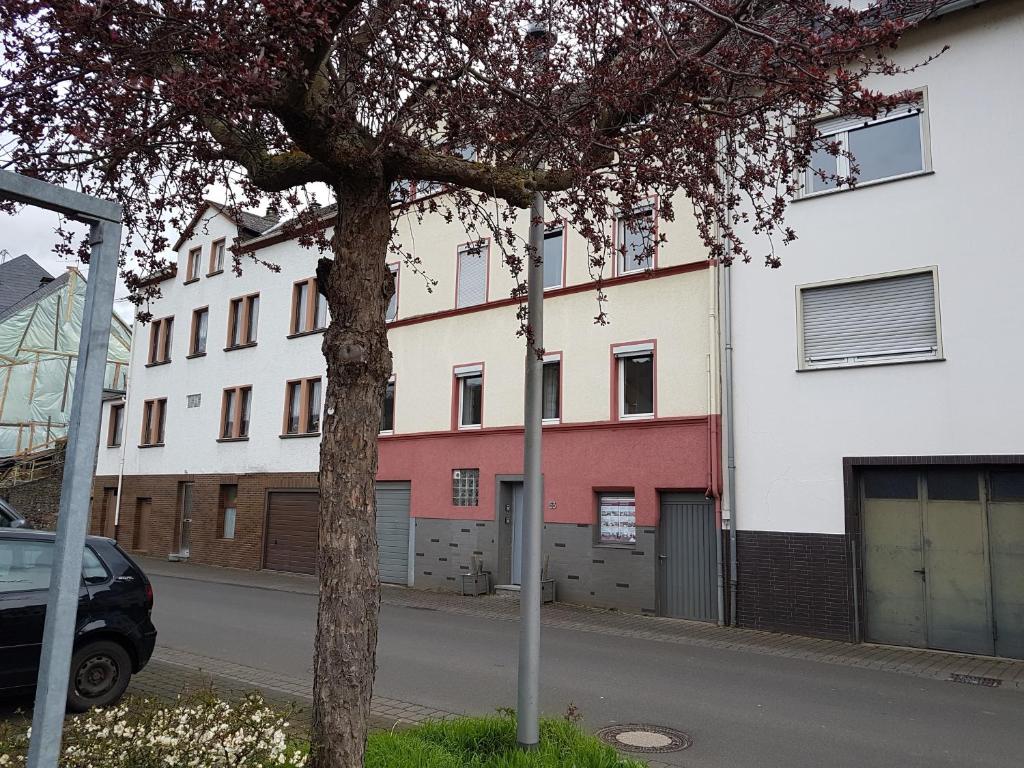 a building on the side of a street with a tree at Haus Marlene in Zell an der Mosel