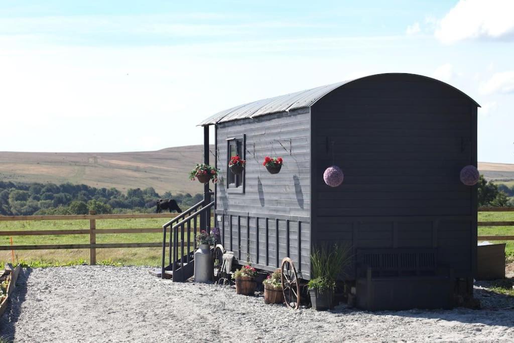 un cobertizo negro con macetas y una valla en The Cloves Farm Shepherd’s Hut en Lydford