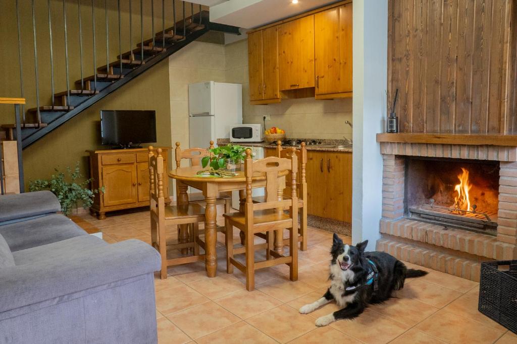 een hond in een woonkamer met een open haard bij Casas Rurales Olmeda in Alcalá del Júcar