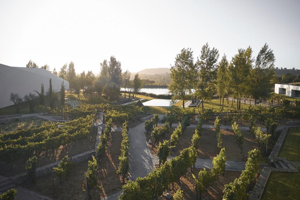 an overhead view of a garden with trees and a pond at L'AND Vineyards in Montemor-o-Novo