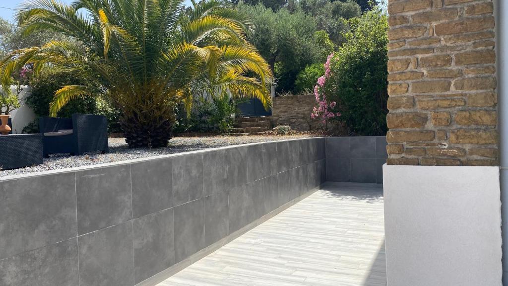 un mur de rétention dans un jardin avec un palmier dans l'établissement Appartement Palmier, à Sanary-sur-Mer