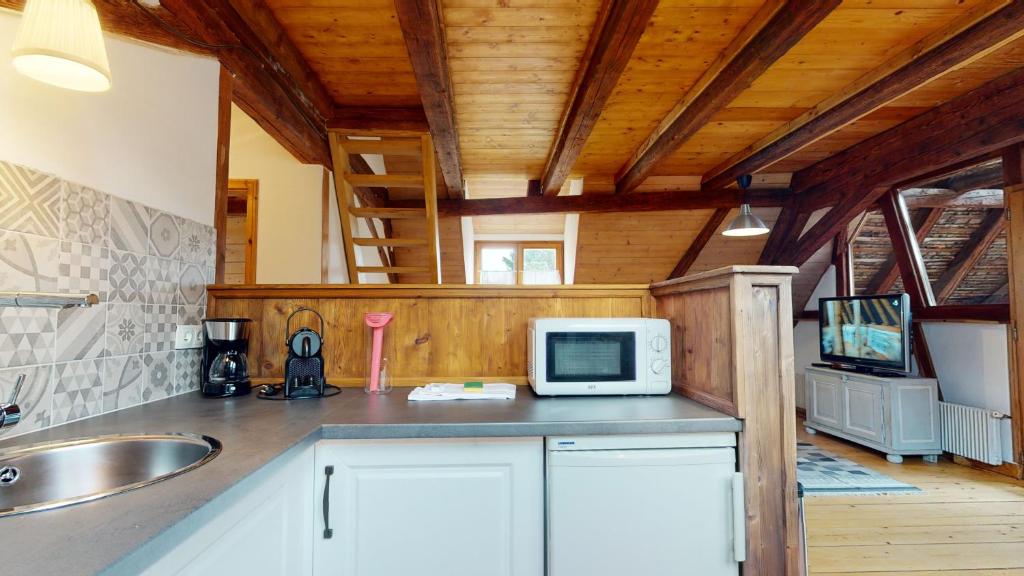 Les Appartements Manala - Turckheim – photo 34