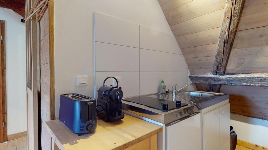 Les Appartements Manala - Turckheim – photo 37
