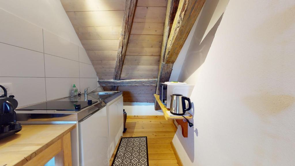 Les Appartements Manala - Turckheim – photo 42