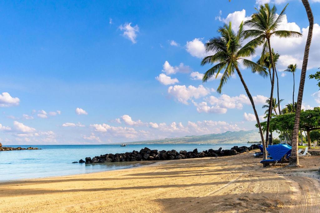 einen Strand mit einer Gruppe von Palmen und dem Meer in der Unterkunft Fairways at Mauna Lani #1703 in Kawailiula