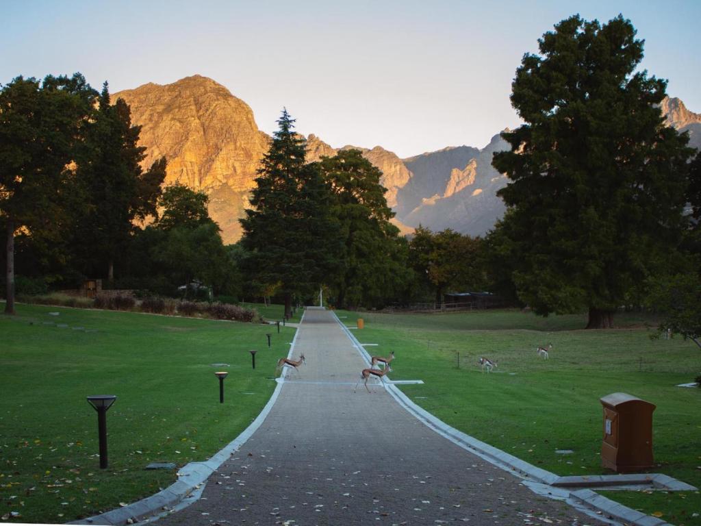 a long road with two people doing tricks in a park at Wechmarshof in Stellenbosch