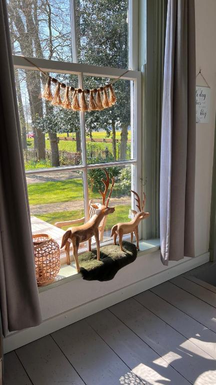 Fotografie z fotogalerie ubytování B&B Johannesberg v destinaci Oldebroek