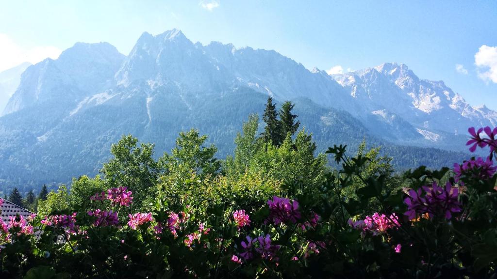 una vista de las montañas con flores en el primer plano en Landhaus Steinbrech, en Grainau