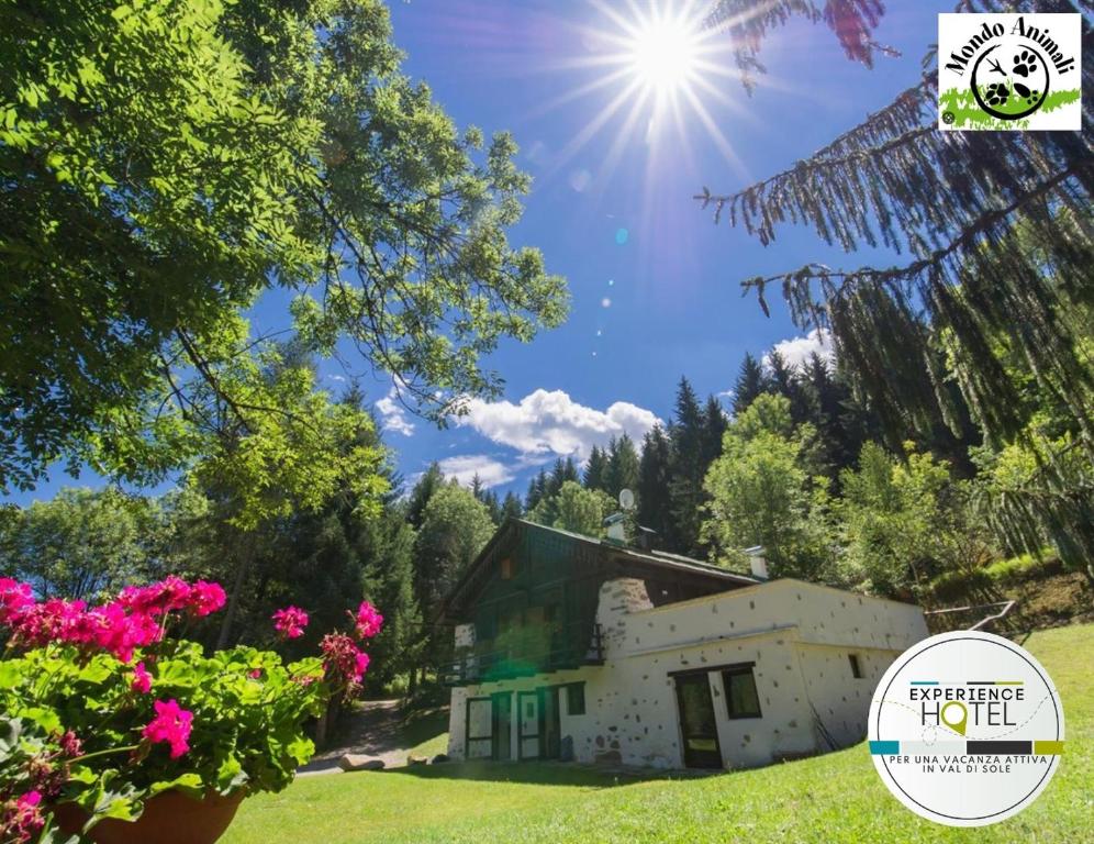 una casa in un campo con il sole nel cielo di B&B La locanda delle pulci Bio Welness a Mezzana