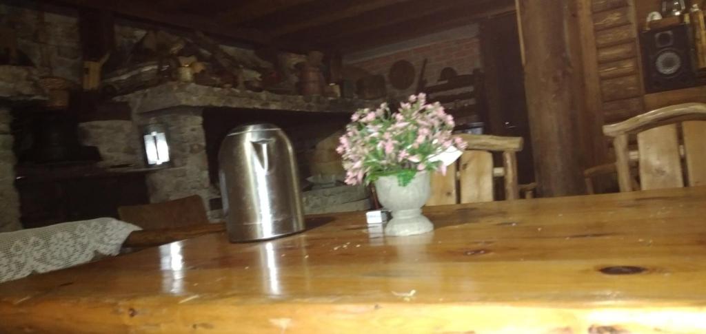a vase of flowers on a table with a fireplace at Apartmani Dada Kanjon Grmuša in Bihać