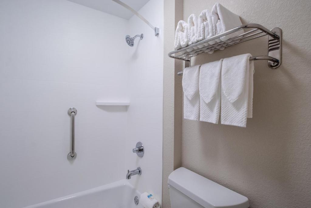 Econo Lodge Inn & Suites Foley-North Gulf Shores - Kamer Met Kingsize Bed - Niet-Rokers
