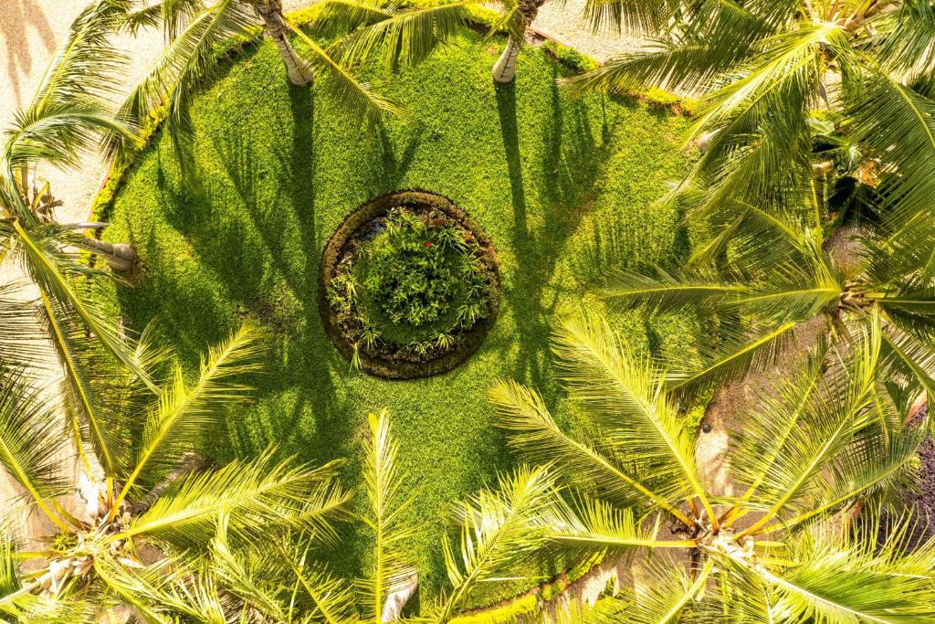 Fotografie z fotogalerie ubytování Turaco Nungwi Resort v destinaci Nungwi