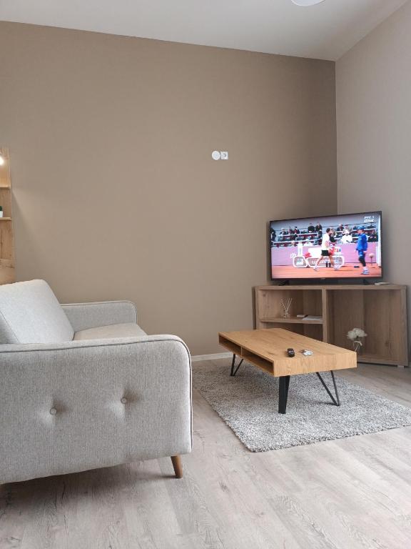 TV a/nebo společenská místnost v ubytování Vila Bor