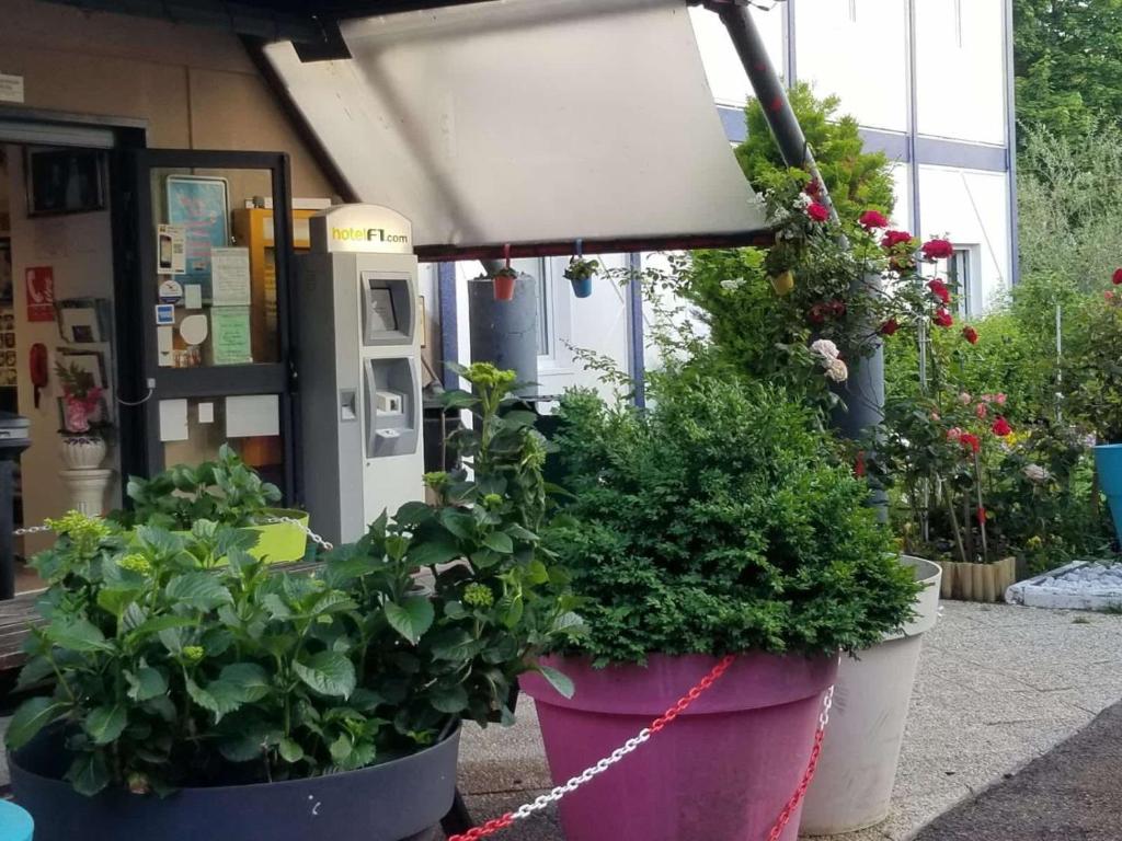 two large pots of plants are chained to a lamp at N&Z HOTELS in Trappes