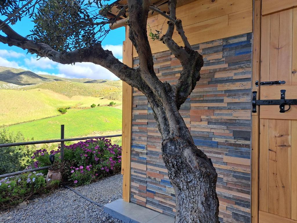 a door to a house with a tree next to it at Wooden House at the Mountain-private in Paránimfoi