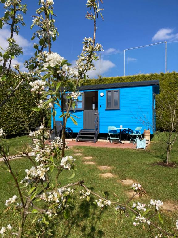 uma pequena casa azul com um quintal em Atlantic Way Shepherd Hut em Moville