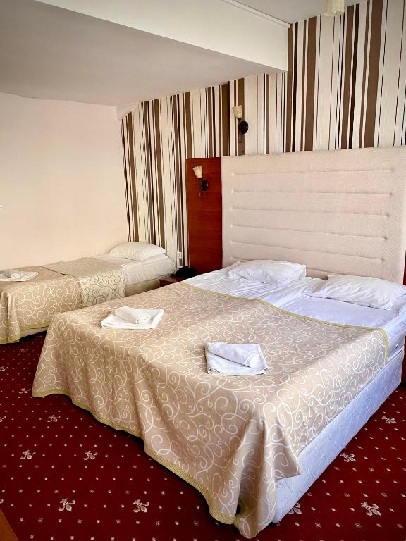 Arena Tarnovo Hotel - Family Room (2 Adults + 1 Child) - Free Parking