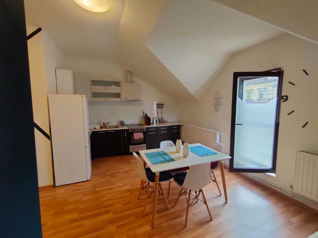 Kuchyň nebo kuchyňský kout v ubytování Iosefin House Studio